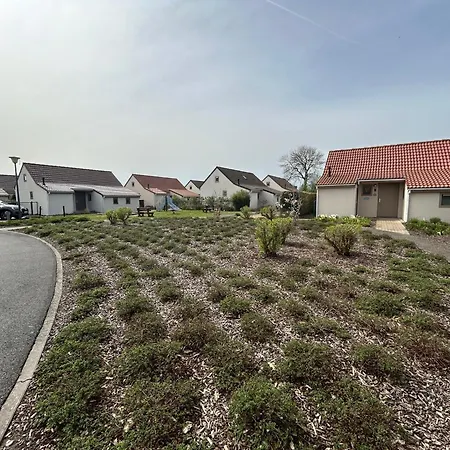 Duinengolf 46 - 3 Slaapkamers Tot 6p - Tuin Nabij Duinengebied Nyaraló *